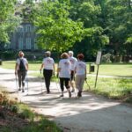 Grupa osób uprawiających nordic -walking podczas spaceru w parku. Piękna, słoneczna pogoda.